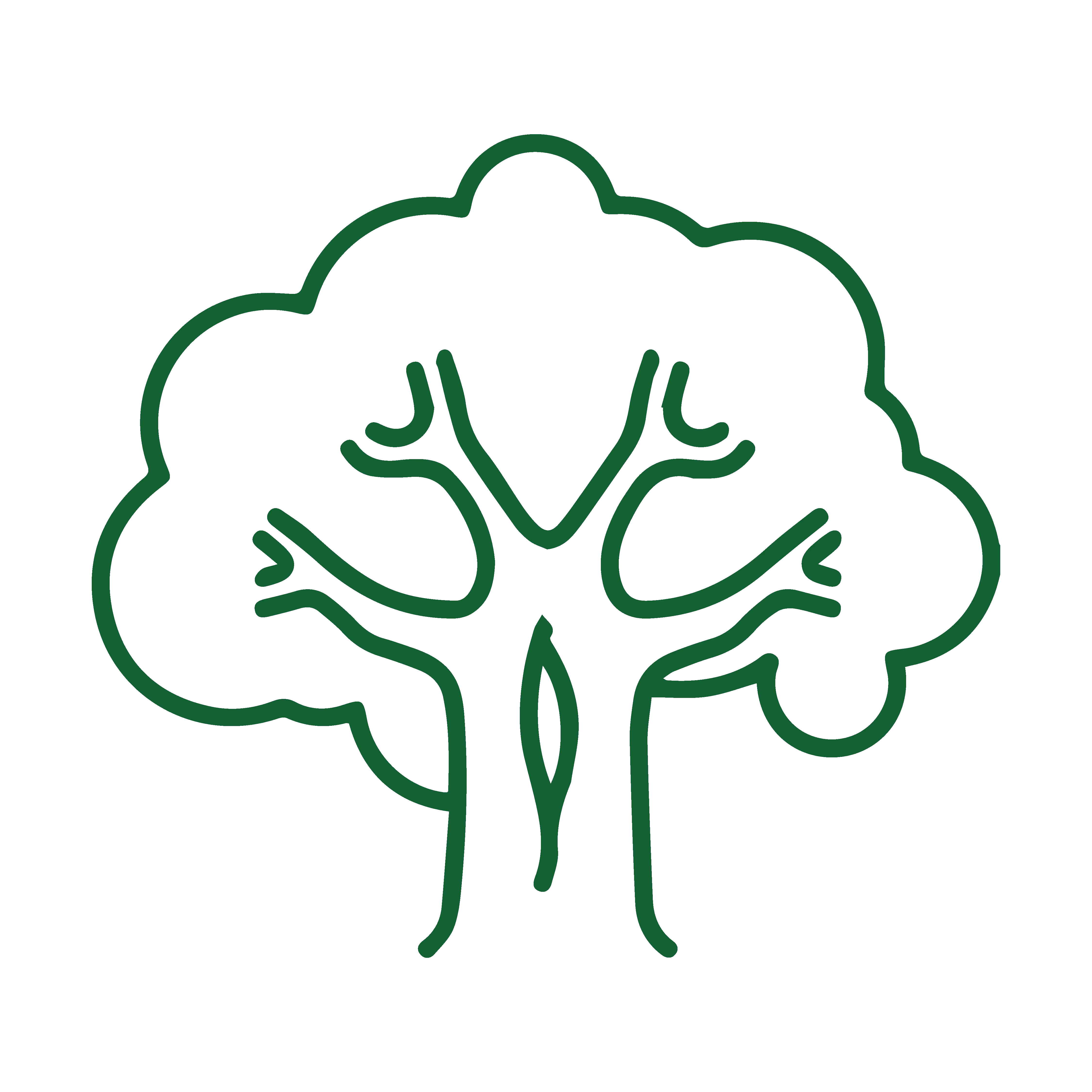 Social Forest